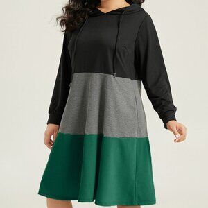 Colorblock Contrast Hooded Drawstring Dress WITH Hood
